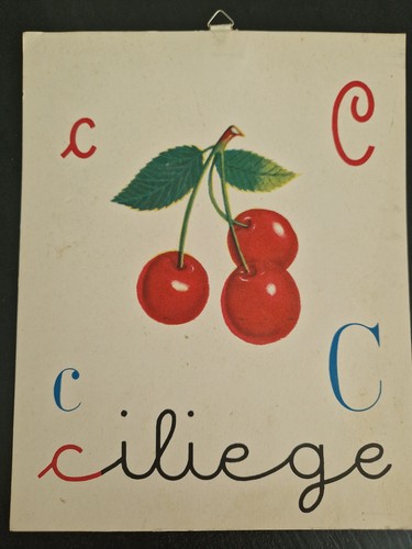 Abbecedario scolastico vintage - abbecedario,