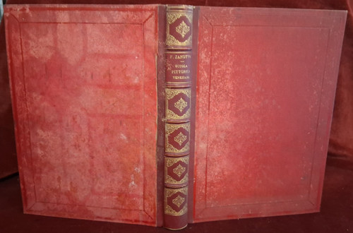 Fiore scuola pittorica - fiore,