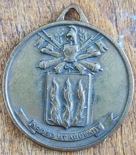 Medaglia scuola allievi - scuola,