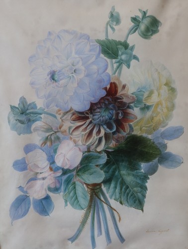 Aquarelle fiori xixè - fiori, rosa
